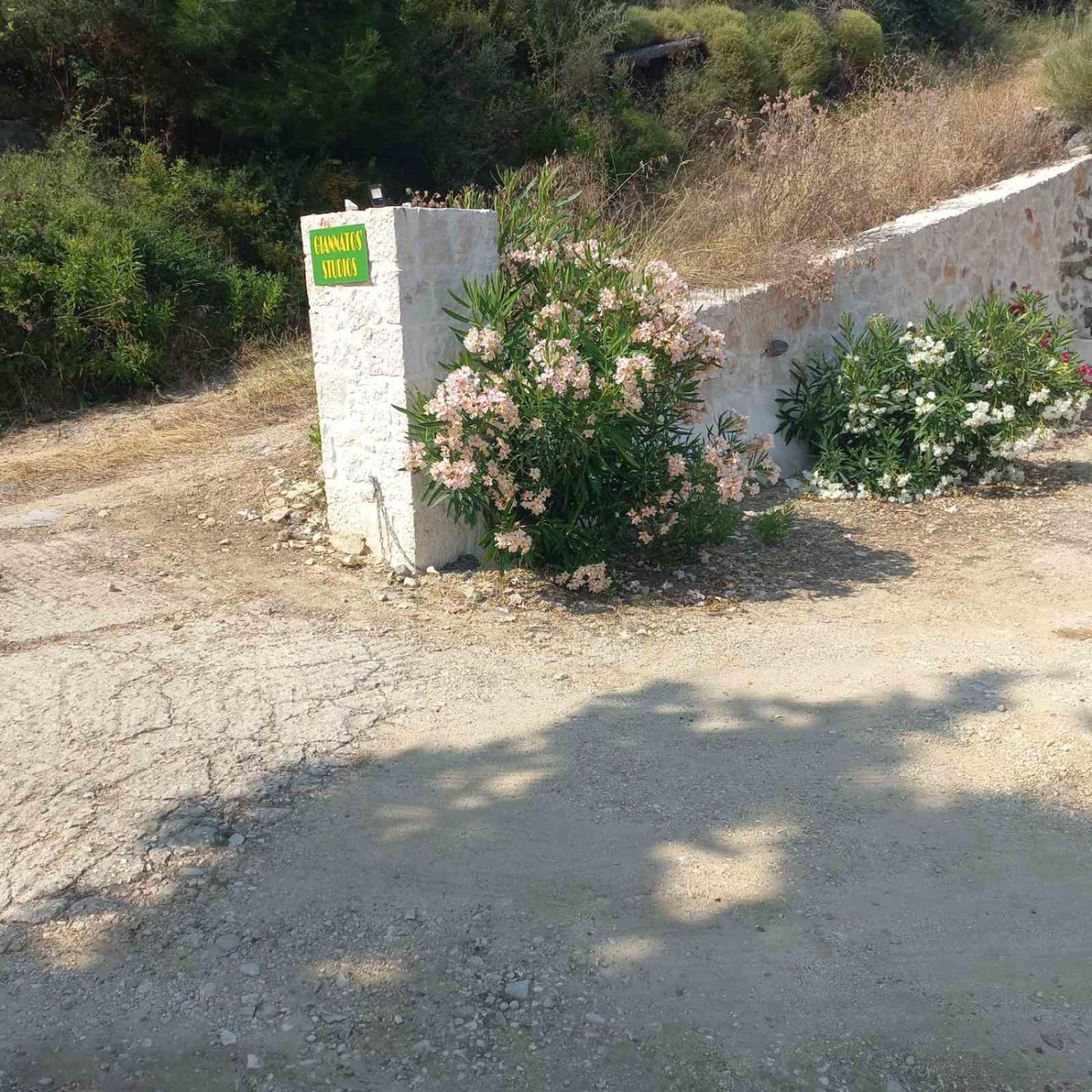 Giannatos' Studios - Makis Poros  Luaran gambar