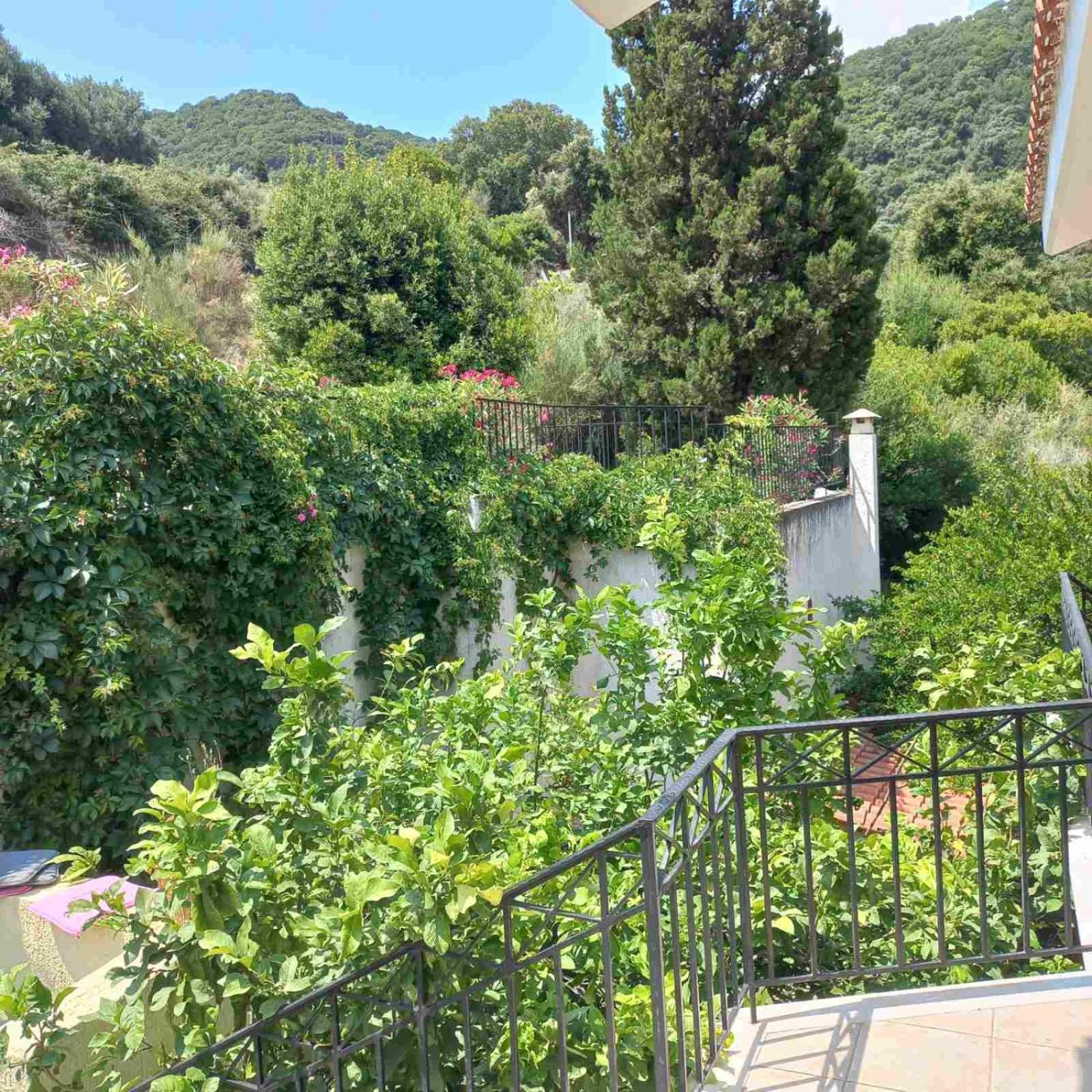 Giannatos' Studios - Makis Poros  Luaran gambar